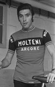 Profile photo of Eddy  Merckx