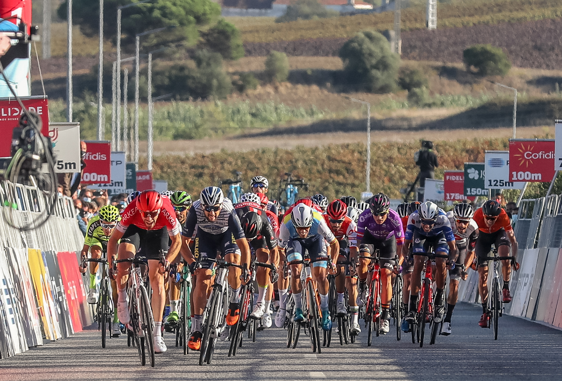 procyclingstats giro 2020