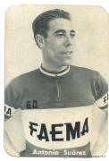Profile photo of Antonio  Suárez